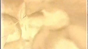 Анонсы и рекламный блок (НТВ, 24.03.2003)