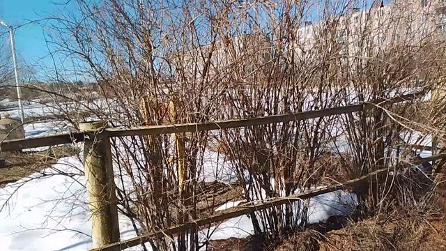 Обзор Деревни весной. MichelleXGame.