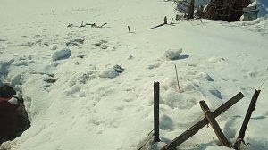 во дворе весна.лужа для гусей-счастье!