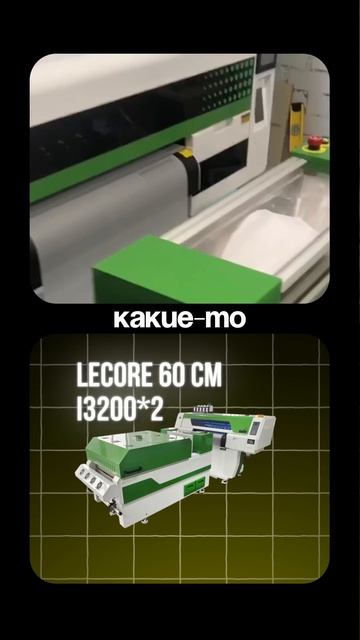 Установка DTF-принтера Lecore 60 см I3200×2 во Владивосток