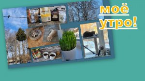 ВЛОГ: ТИПА СЕРИАЛ ПРО ...БЫТ, РУТИНУ, ПУШИСТУЮ РАДОСТЬ, СЕМЬЮ,  ЖИЗНЬ?! (1 часть)