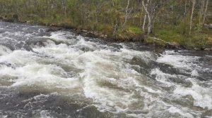 Рыбов нет, но есть шум воды 2023-06-25