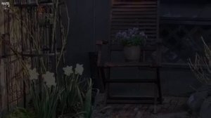 весенний сад🌿🌺