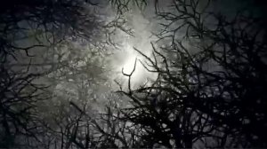 Видно не судьба. Песня любви, разлуки и надежды...