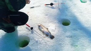 Запуск от 24.03.26