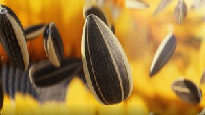 Мы обновились и сделали это со вкусом