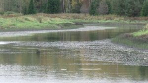 На Ошме. Октябрь 2017