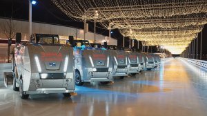 Каток на Царской набережной в музее-заповеднике "Коломенское"