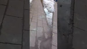 идеи в магазин