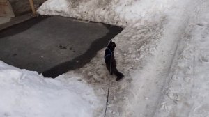 Не получилась прогулка.