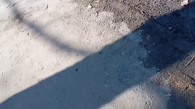 Влог с гулянки с братом