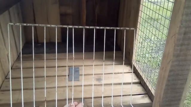 Клетка для кроликов готова.Пи%дец  картошке.
