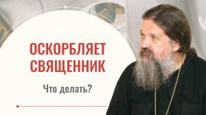 Что делать, если священник оскорбляет? Отвечает протоиерей Андрей Лемешонок