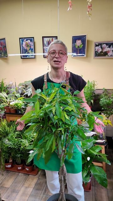 Обнимашки - это святое! И растения - не исключение, тоже любят поглаживания и объятия.