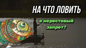 Чем ловить, когда спиннинг под запретом? Болонское удилище — разбор от Fmagazin