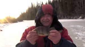 Памяти Григорича \ Две ночи в рыбацкой избе \ 21-22 ноября 2020 ( продолжение )