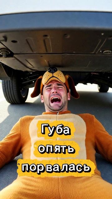 Губа в ветеринарке.Телефонные аферисты