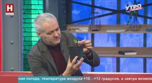 Евгений Константинов. Прививка для растений | УТРО ПЕРВЫХ