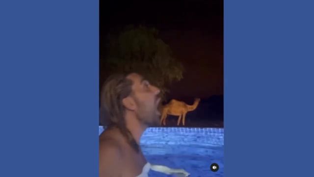 David Garrett смотреть онлайн