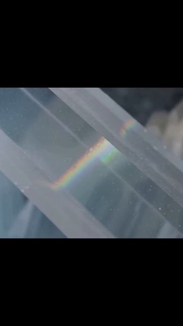 #залипательныйконтент #восторг #развлечение #видеообзор #увлекательныйконтент #забавныемоменты