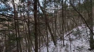 Охота в Тайге Приморского края.\\ Охочусь на Копытных.\\Начало Декабря.