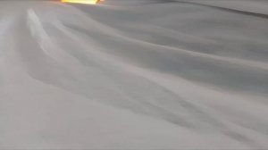 Суровые джунгли 1 часть