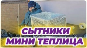 САМВЕЛ АДАМЯН, СЫТНИКИ, МИНИ ТЕПЛИЦА..