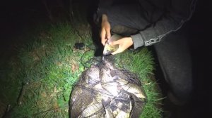 Жор весеннего карася на поплавок! Наловили целый мешок.. Не знаем как уносить!