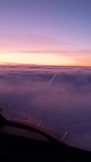 лучшая работа в мире