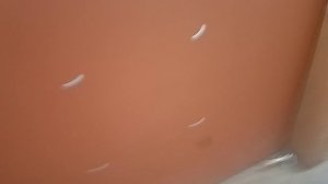 Секретно снимаю миньона! 😎😎😍