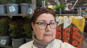 Новые поступления саженцев роз в Лемана Про. Скидки, ассортимент.