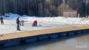 Ежедневный запуск