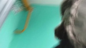 2 серия 2 сезона мороженщик