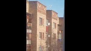 Дом снегом стреляется The house is shooting snow