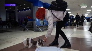 ЕЩЁ ОДИН СЛУЧАЙ БЕШЕНСТВА, 24.03.2026