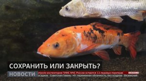 Сохранить или закрыть? Новости. 24/03/2026. GuberniaTV