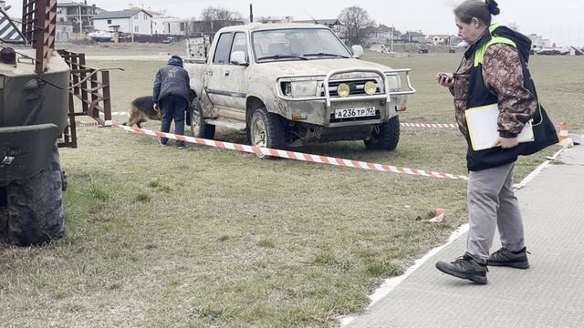 Хедда на квал. соревнованиях по ноузворк по правилам РАНВ 21.03.2026г. в Севастополе. Транспорт