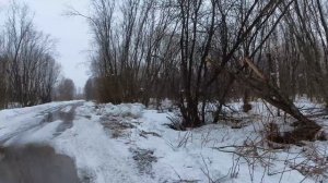 Прогулка по Архангельску. Экономия. Маймакса. Стахановская. 24.03.2026