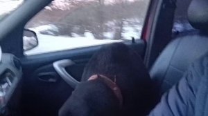 НАя 🐕 поехала со мной)❤️