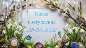 Новое поступление 25-03-2026