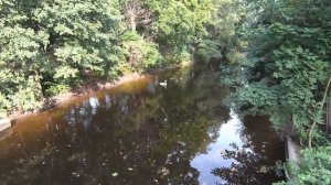 Гуляем по Питерскому ЦПКиО, знакомимся с белками.