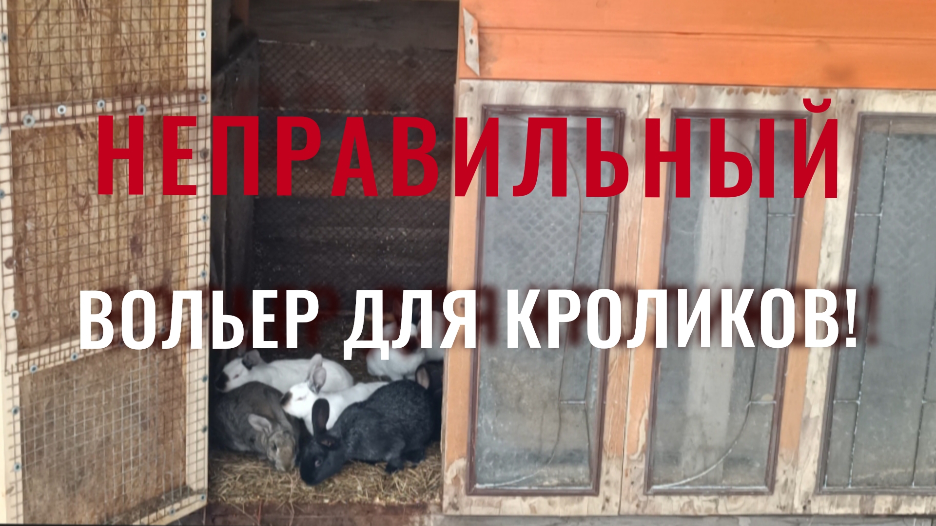 Ошибка, которую я совершила 2 раза при строительстве вольера для кроликов!