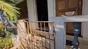 Она меня разбудила в 5 утра. Утро с Сашей на берегу. Муж выздоровел, идём смотреть закат. Арамболь.