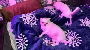 Доброго всем утречка и чудесного начала дня.