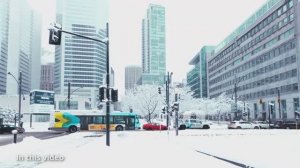 ❄️Montreal_Buried_in_Snow___Peaceful_Morning_Walk_in_Old_Montreal