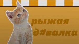 Аккуратно!!! Не при родителях!!!