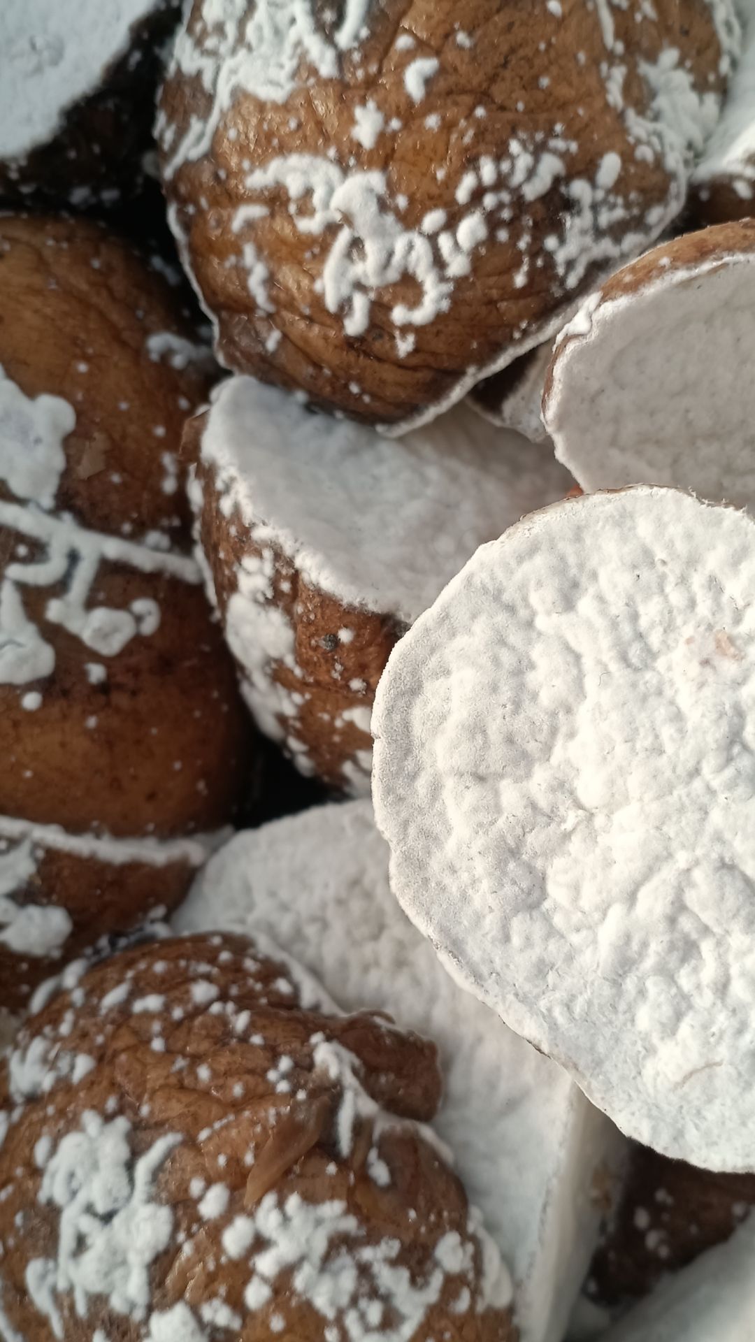 Больной.Грязный. Сырой.