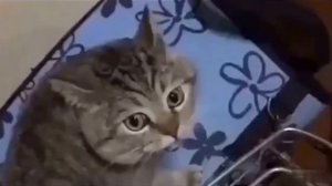 Голос на вокзале