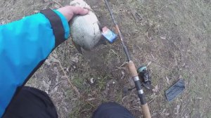 ФИДЕР ВЕСНОЙ в марте. ПРИКОРМКА и НАСАДКА для ЛЕЩА