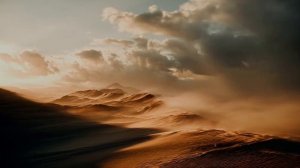 Моя милая, как ты страдаешь.